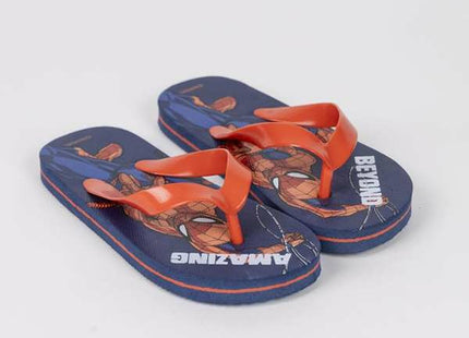 V4H0F2E5CB402CB197C7D0C7E5E0FD4D84FR4718676P2