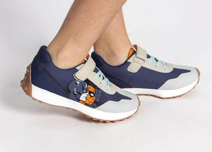 V5H166EB33231BD5DE54796D47AB2BBB3CDR7262186P5