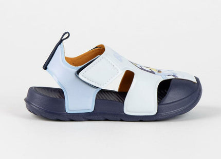 V2H118E4D550630B6809741165B19C17F3FR7229999P3