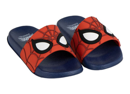 V4H4D912E6C4E6C30F9B21798531F3C2A00R7147182P1