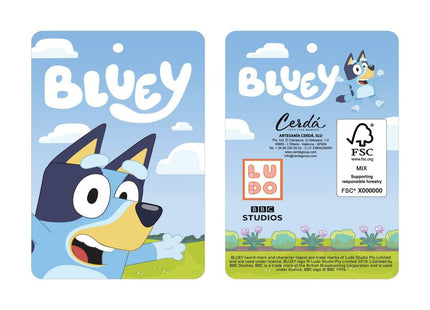 V2H29F45EE3D9A98E5F11C2B11E606E9B20R7496243P3