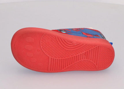 V2HCE67AFE06D55F9B73A85A82D48DE85BCR7496201P7