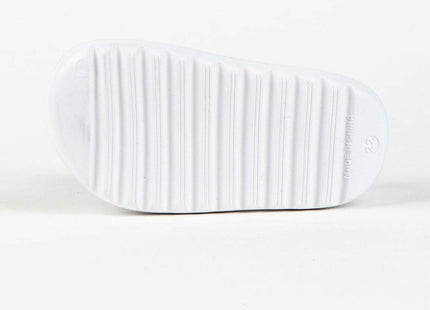 V4H8D9EC88DB277C83BFC6EA8FDBA60D3EDR7235874P5