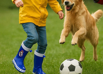 V2HCC39B8F19691BB5F990DFFECC2B0A19FR6468036P7