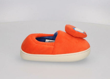 V3H73E723DF4269C4E3810B4C5D00697A5CR7252790P6