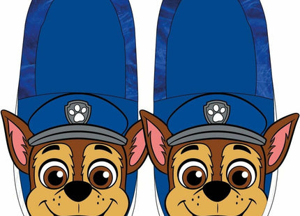 V3HC52A4629D3FE17294A42020645A24D9DR7253245P9