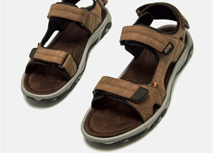 V3H8CBC81D970D0439371DDB10661A0AC9BR6072120P2