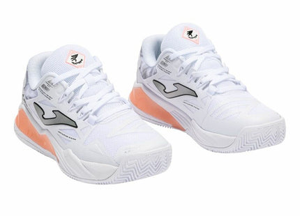 V3H2986F75EB178EE3F8071F2CC72B86D26R6160598P4