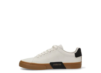 V2H6F13D3376FFF3895FD0D3D1BB8C6F01DR7625870P2