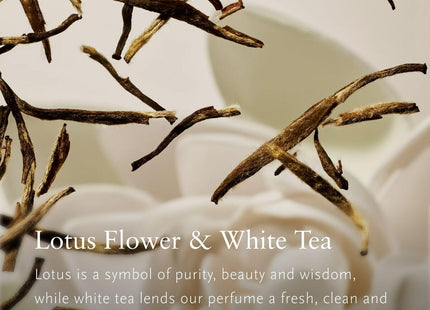 V4H24C3CC639385398D6B1B1FAF9ED8D5A6R7425035P4