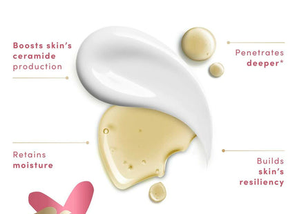 V6HF8BDDC41DB8BED84DB977B6542C8DD37R3664311P3