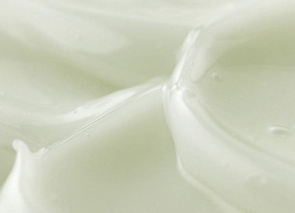 V2H52E6F7EC11925E65B36FC072FCD7D7A5R7528384P5