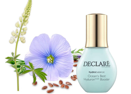 V13H0901136D49809338663510BA39010386R7717719P2