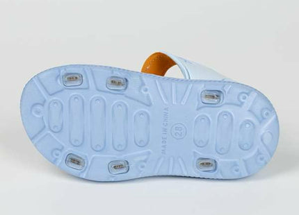 V4H22392A192A0165F31D6F1DA0EF968B0DR6690037P4