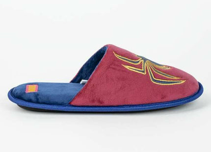 V5H79E2B154CC3D3B10C63204B17BA9A6FER5530678P2