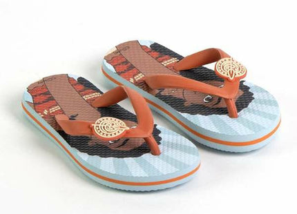 V4H32C0B05248E608E2529233C2DF41B300R6729954P2