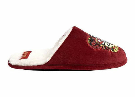 V5HD97FFF571B0E02448D008B635BA93797R5531706P2