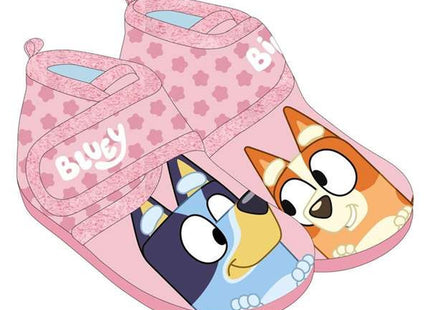 V2H68748842D19E0D1319CA82580E573031R7496249P2