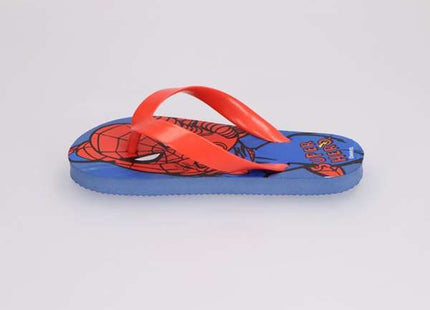 V2HF040DC2793A84C8744A8CCEC76129AA8R7690654P3