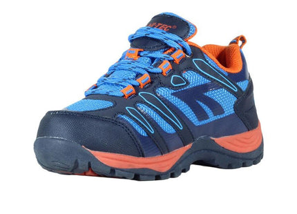 V2H7938076D1F0DB60E984DABF41CD4B394R7660913P6