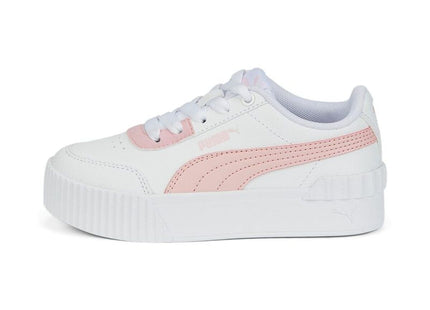 V2H2A398FBBC23729D6848FDC2AE37980FER7660536P2