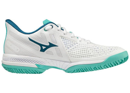 V2HA0B922B3D4EDFDC2916B2E3069ED3093R7679907P1