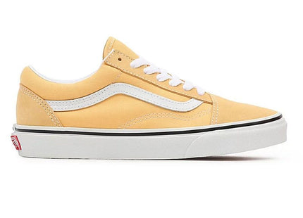 V2HAE53692071C1D49ACFF531C68CBFDF74R7679536P1