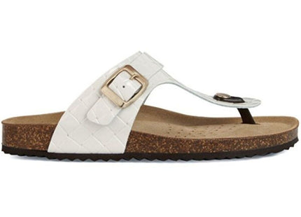 V2HE454D79EEC244B897DE69A60BBC491BDR7690514P1