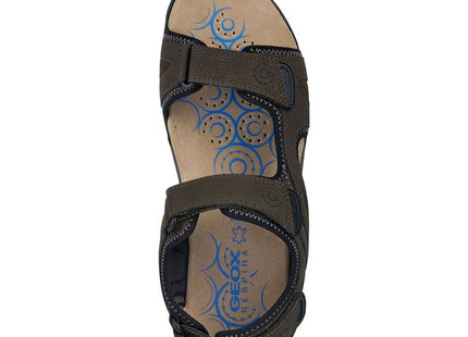 V2HDF33D6C8247D8EBF67B09FD06526AE42R7707528P3