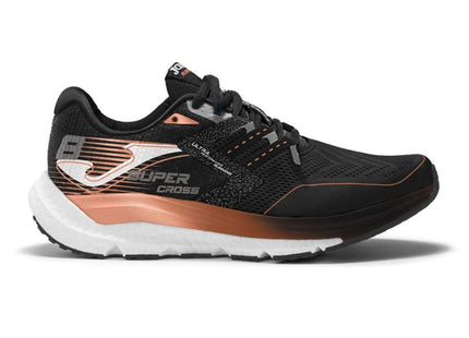 V2HB0D10A6F16EBB2089F6896661DDBB3E0R7689738P1