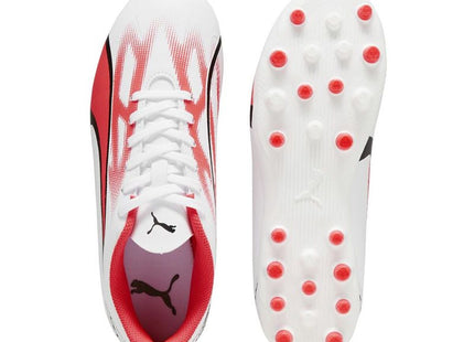 V2H8001E347D7D271D6C4056234D61AA4E8R7694789P3