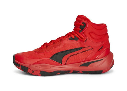 V2H3EDFB4BC23FA221477E15599335089ABR7697762P2