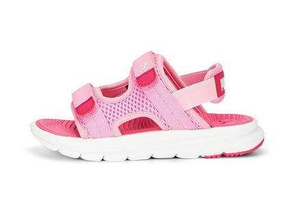 V2HB9EE2643815E138C12FCF6FA0A0FAFFER7690501P2