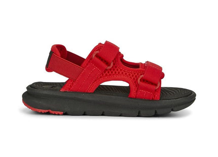 V2H6AB1738FBC246C5209D3C42B4103385FR7690506P2