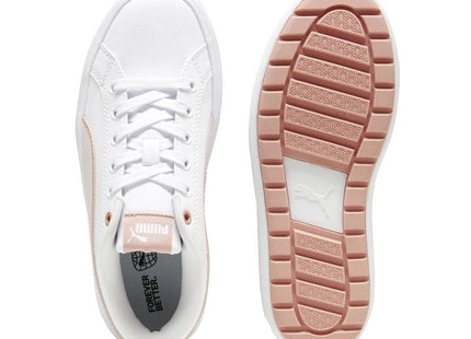 V2H8A64D617098E3B0BE6366FA1ECC39A19R7689700P3