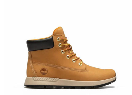 V2H8D8C0935DE86BC62495AFD00844B5B25R7690298P1