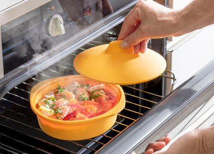 V2H7A517420DD139D37F3433D4F23300D9DR7676685P3