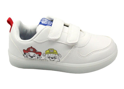 V2HFB49C6D69D18B1D7C2EFE4F2FAA35183R7510376P1